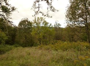 181 J R Sayles Rd, Canton, NC 28716