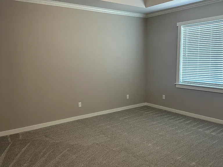 5038 Shefflera Dr — Photo 11