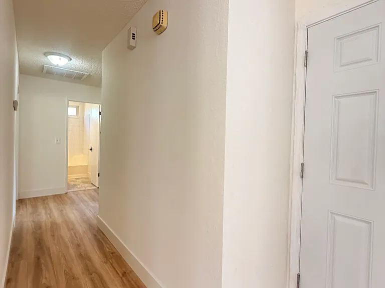 2540 Deer Trail Ln — Photo 13