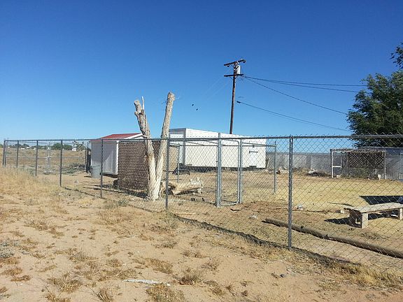 Backyard (viewed from the north)