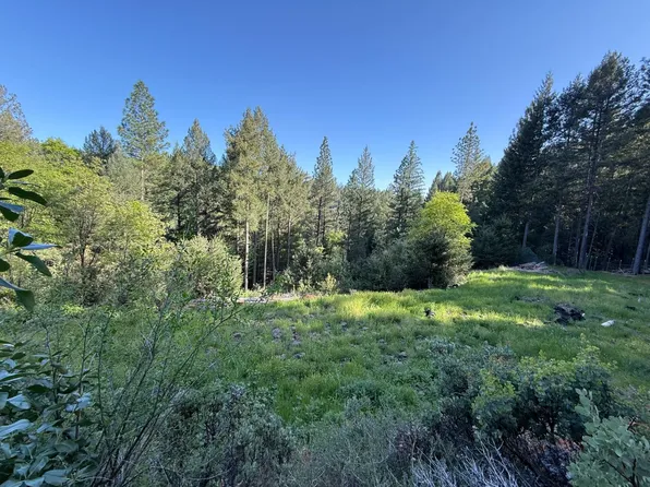 20101 Grizzly Creek Rd, Nevada City, CA 95959