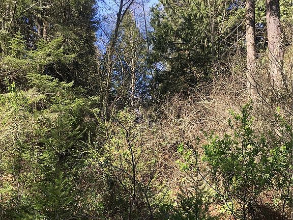 3rd image of 0 63rd Ave NE