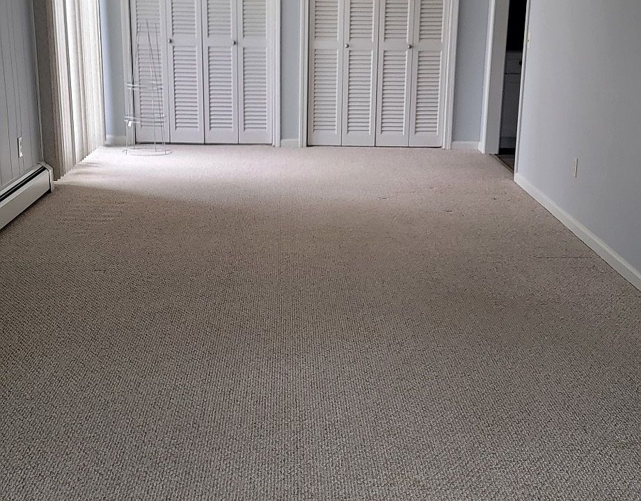 Living room /dining room combo