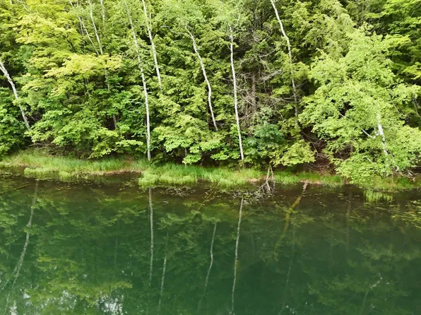 LOT 1 Star Trl, Gleason, WI 54435