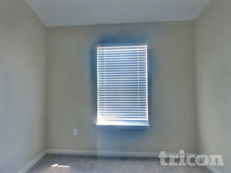 4002 Windflower Way — Photo 12