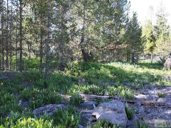 1 N Buffalo Ln, Island Park, ID 83429
