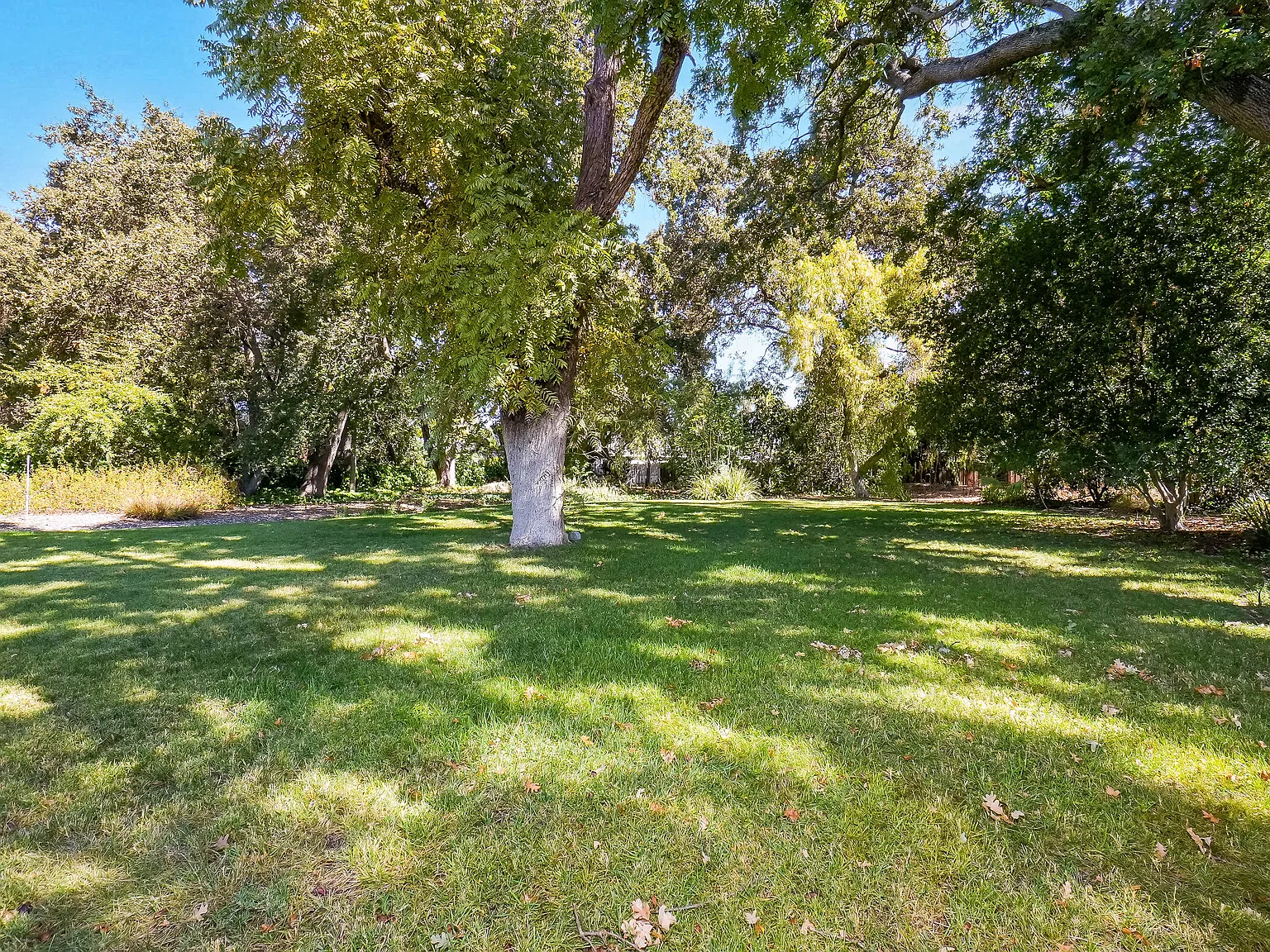 4 bed, 2107 sqft, $5,995 — Photo 2