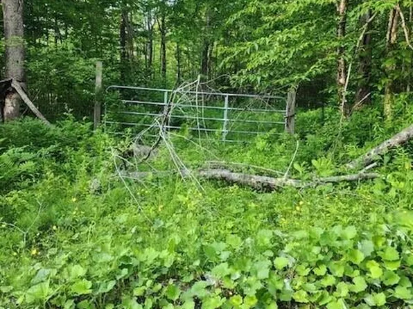 Matteau Rd, Peru, MA 01235