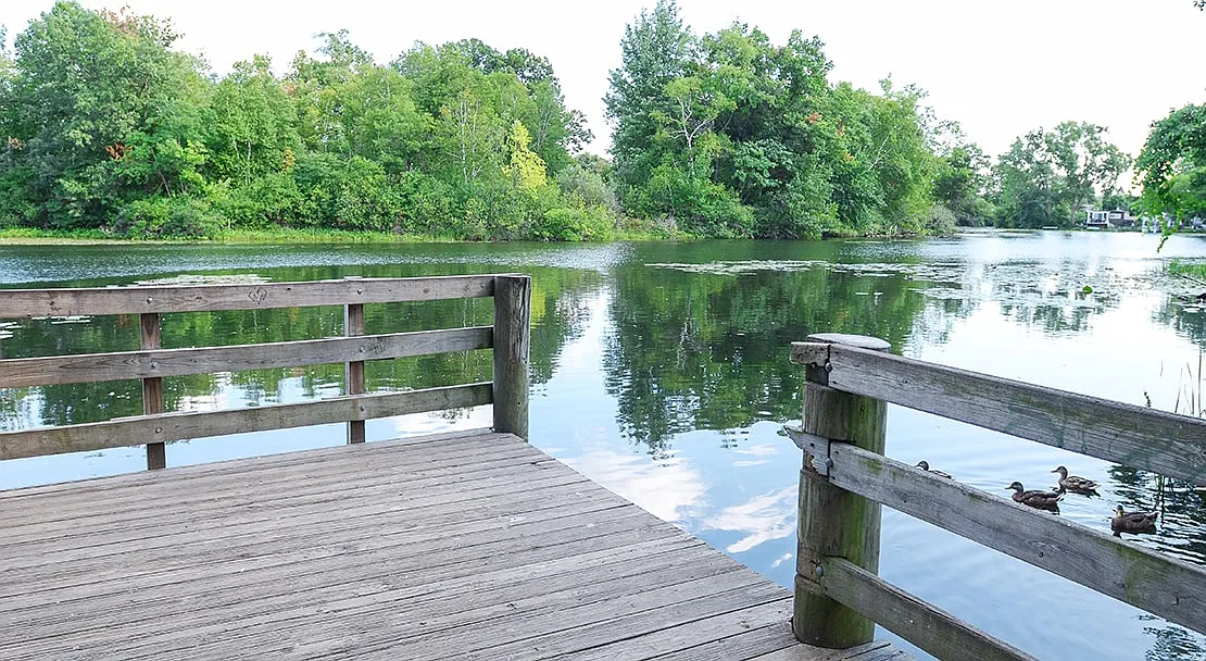 Bloomfield on the River — Photo 4