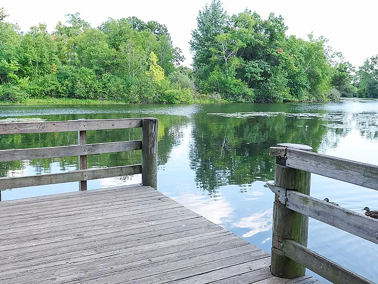Bloomfield on the River — Photo 4
