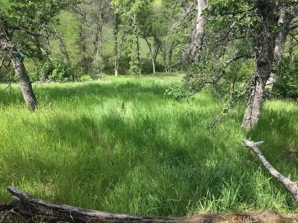 16368 Lariat Loop Lot 1211, Corning, CA 96021