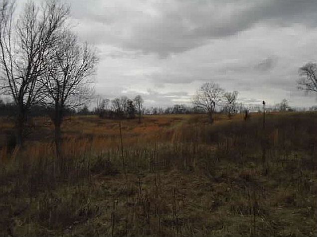 2nd image of Lazy Branch Rd
