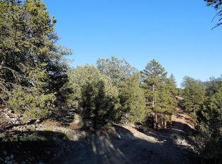 Tbd E Path, Cotopaxi, CO 81223