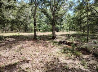 0 Patriot Dr #0, Brooksville, FL 34601
