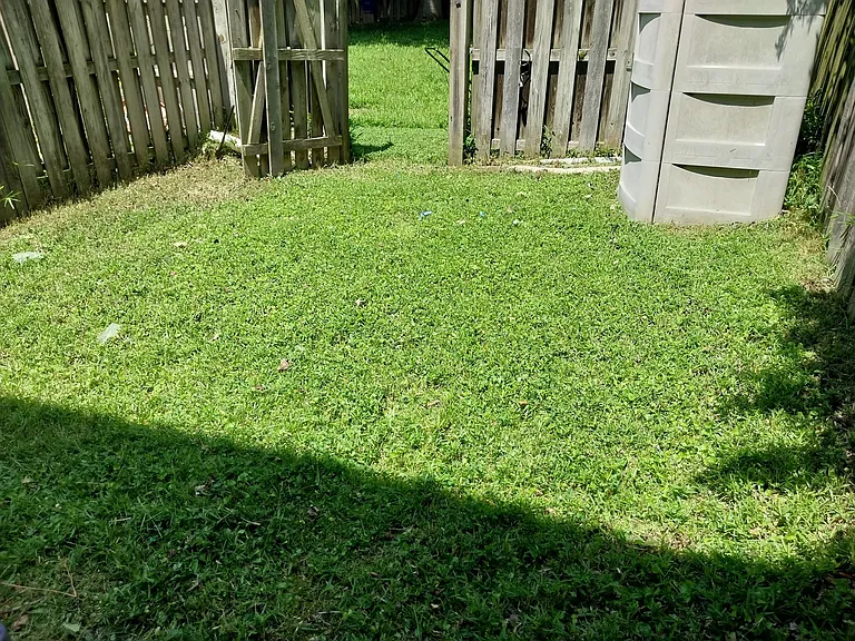 Fenced backyard 2