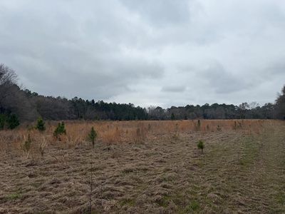 0 Ext N, Fitzgerald, GA, 31750