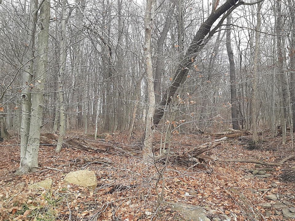 1st image of 0 North St
