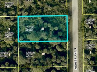 636 Naples Avenue S, Lehigh Acres, FL 33974
