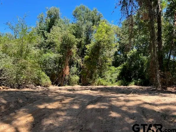 2 County Road 3322, Pittsburg, TX 75686