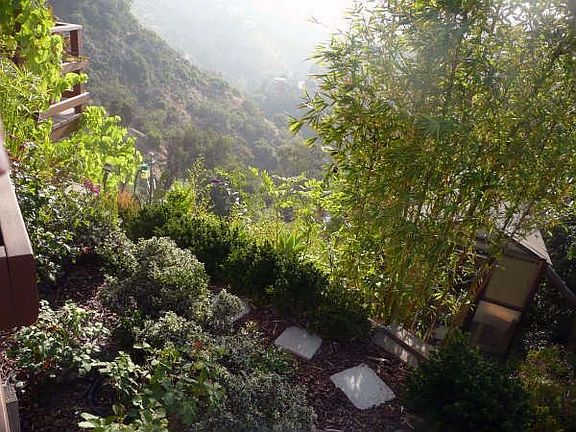 Garden view