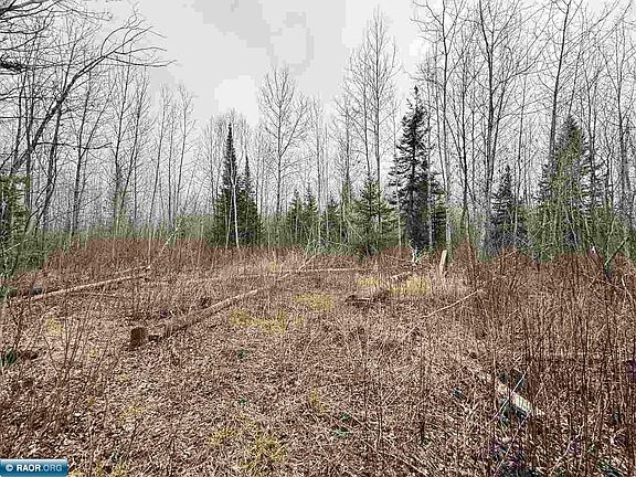 3rd image of 10801 Town Line Forest Rd #69