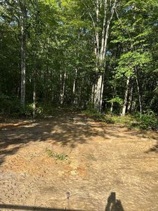 LOT 339 Flat Top View Ln #619, Wilder, TN, 38589
