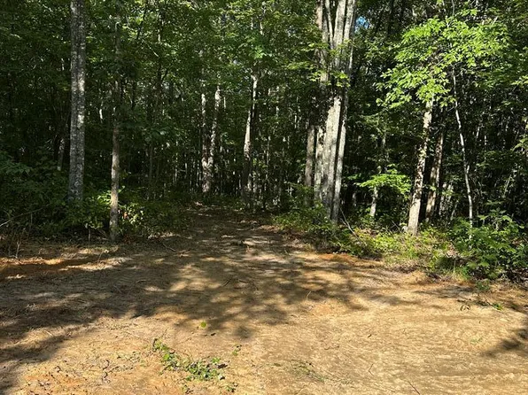 LOT 339 Flat Top View Ln #619, Wilder, TN 38589