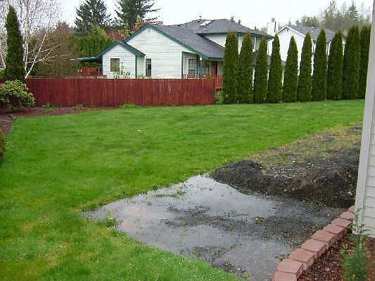 Large yard & add parking