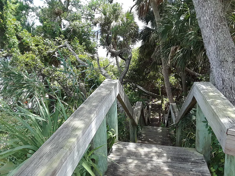 Stairs to river access
