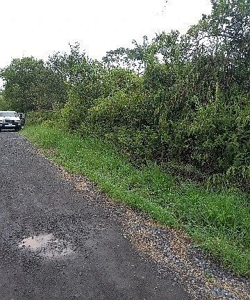 2nd image of 37th Ave Lot 53