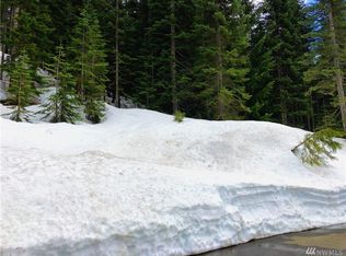 0 Ober Strasse, Snoqualmie Pass, WA 98068