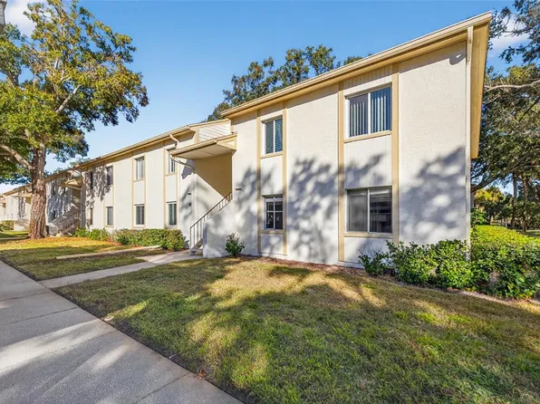 219 Palmetto Ct, Oldsmar, FL 34677