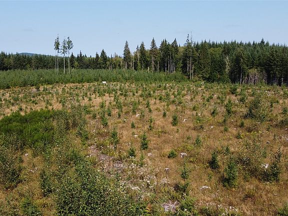 3rd image of 0 Slide Creek Road