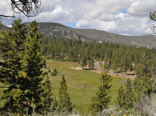 198 Haskell Mill Ct, Carson City, NV 89705