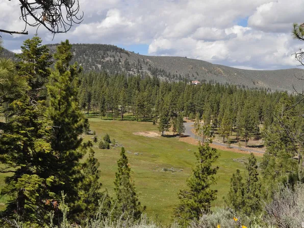 198 Haskell Mill Ct, Carson City, NV 89705