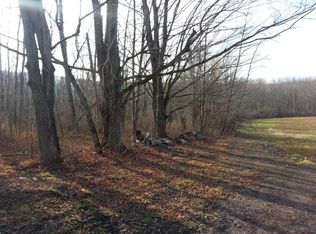 0 Evelien Hill Rd, Candor, NY 13743