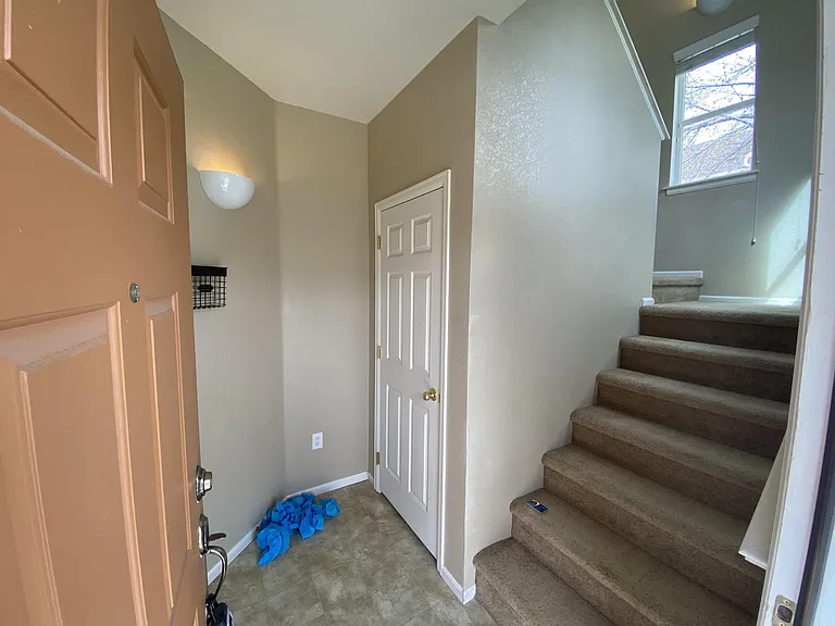 2115 Grays Peak Dr #203-1 — Photo 4