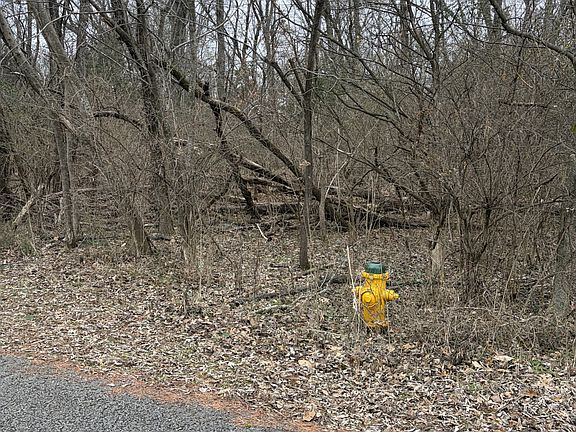 2nd image of 0 Dixie Ln Lot 6-5-4