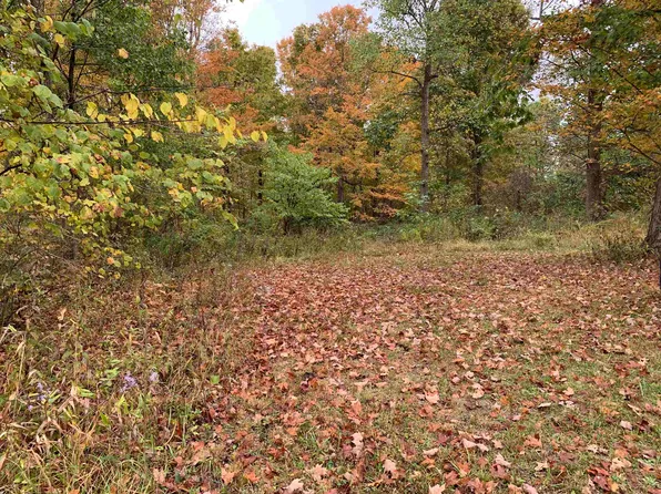 Cooper Ridge 12/acres, Vanceburg, KY 41179