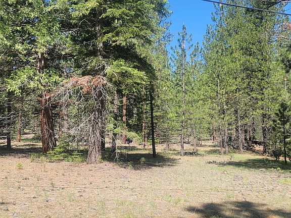 2nd image of Sugarloaf Ponderosa