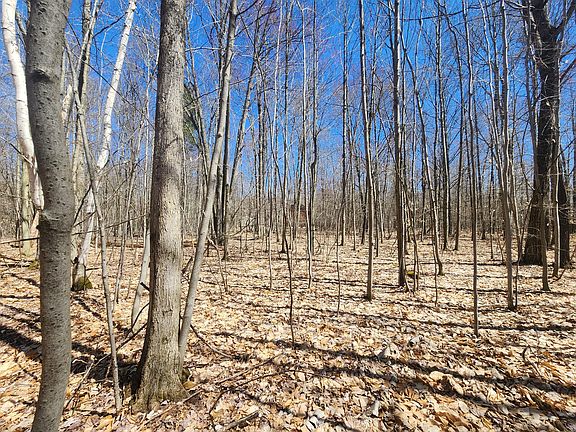 5th image of LOT 573 Ferngrove Ct