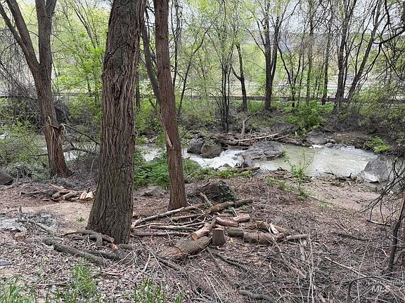 5th image of River Rd