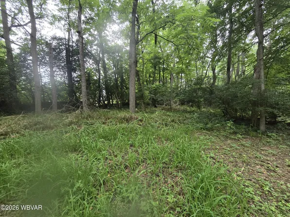 297 Ridge Rd, Mill Hall, PA 17751