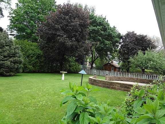 Back Yard & Patio