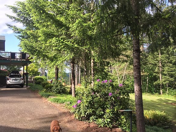 Carport and side yard