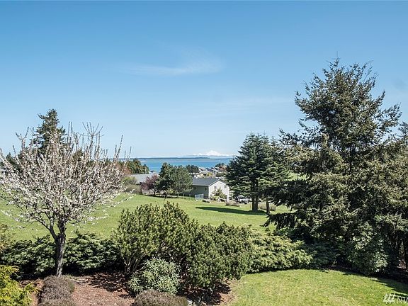 East facing off the deck with Mount Baker and the Straits. 