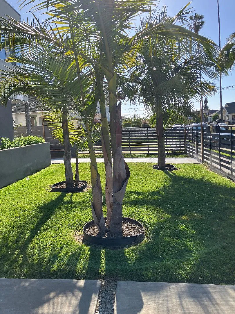 5 bed, 1600 sqft, $4,200 — Photo 2