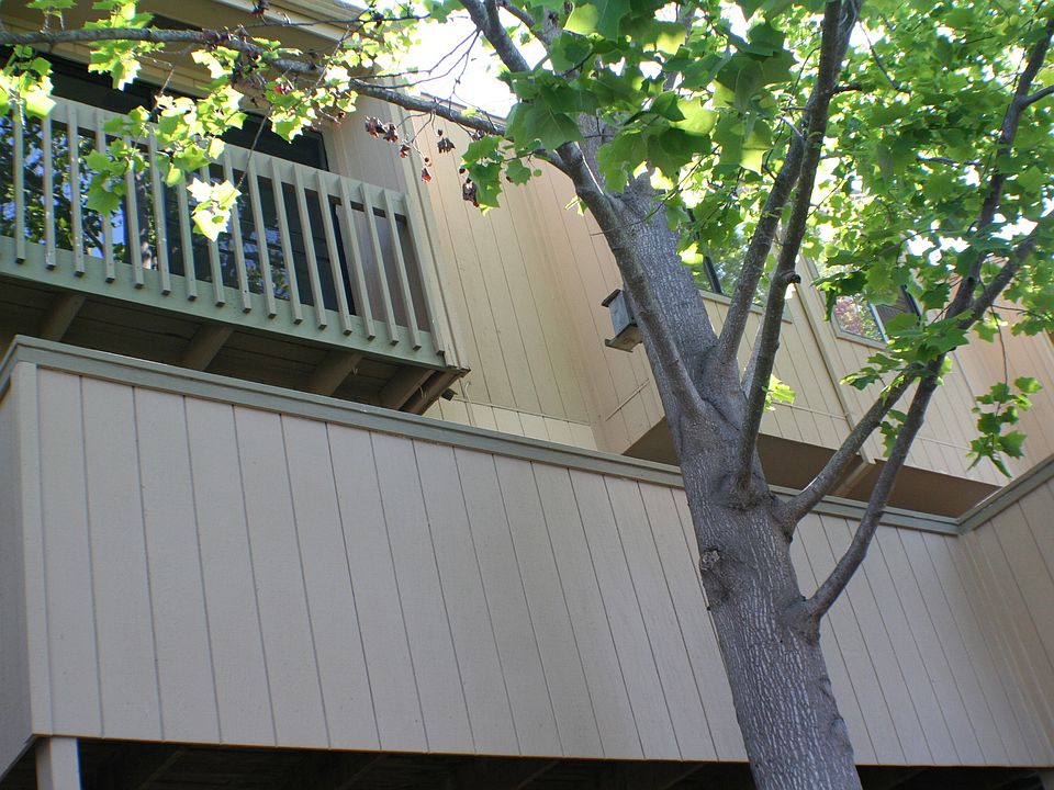 1st image of 165 Oddstad Dr APT 68