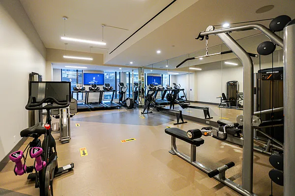 Rented by Bond New York | media 339