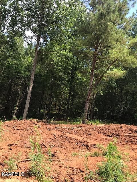 2nd image of 31 Ballplay Rd Lot 31